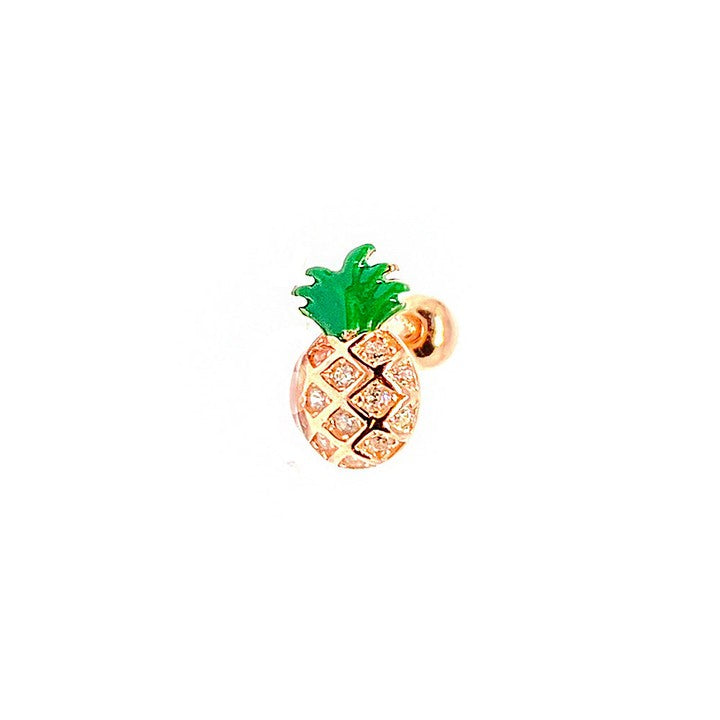 Ananas Tragus Ms2714