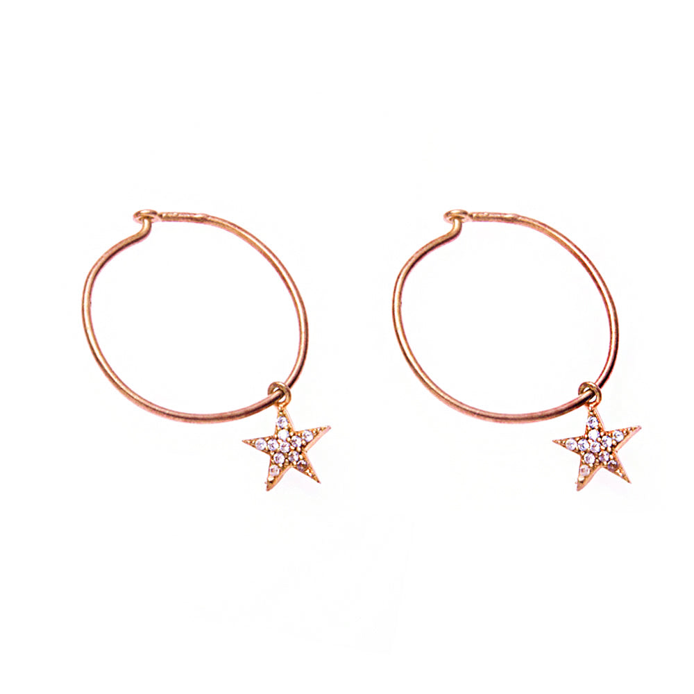 Star Silver Earrings SB1130