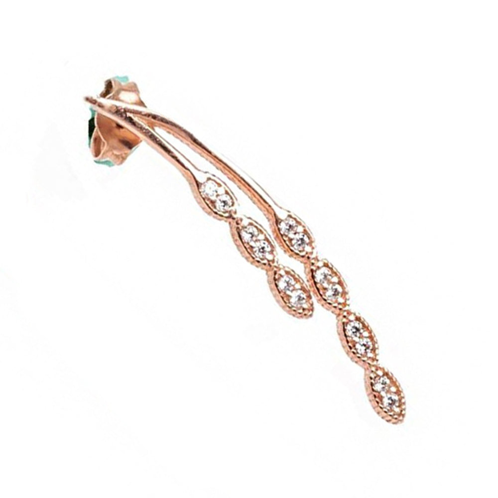 Stylish Earrings SB1410