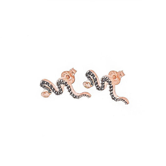 Snake Silver Earring Sb1920