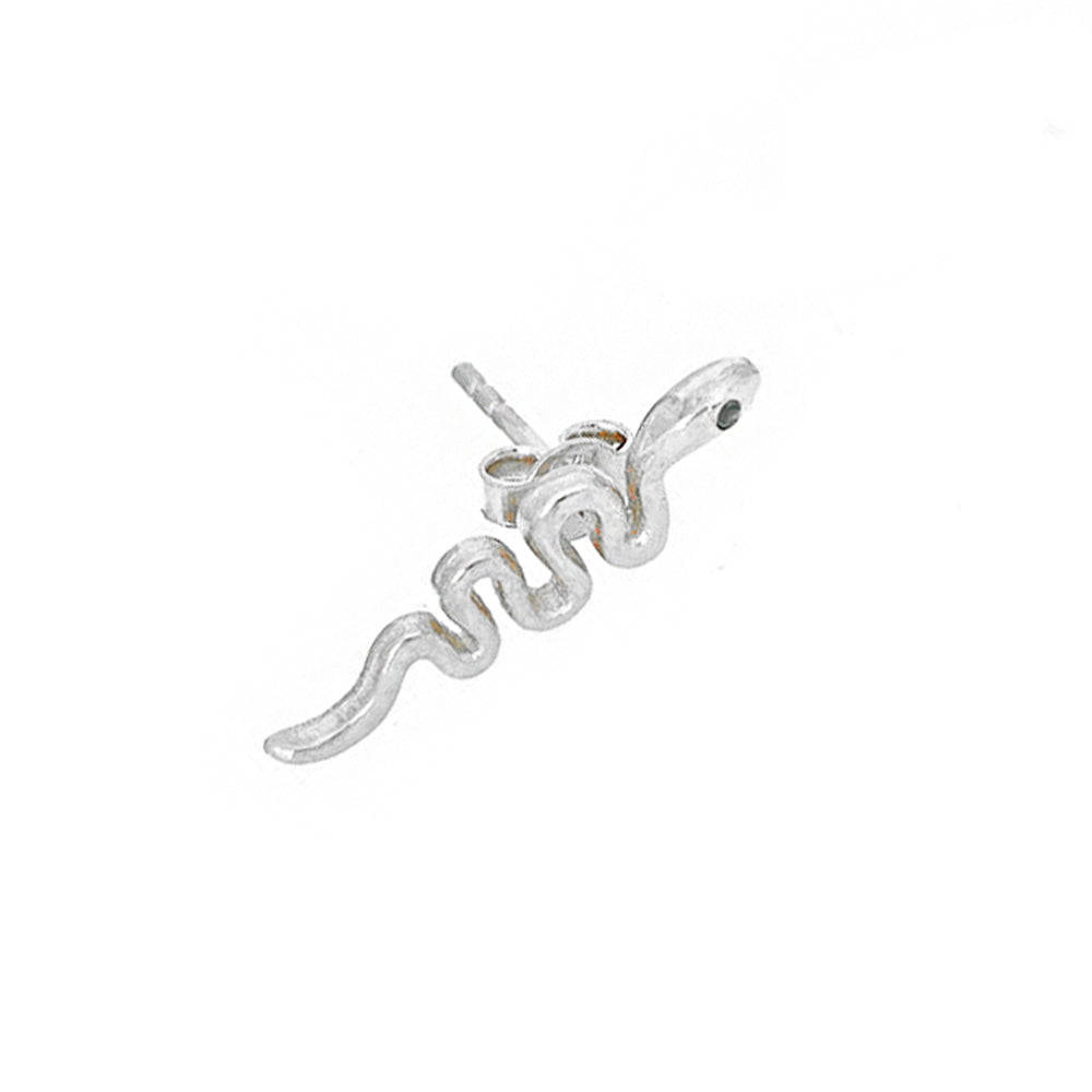 Snake Silver Earring Sb1921