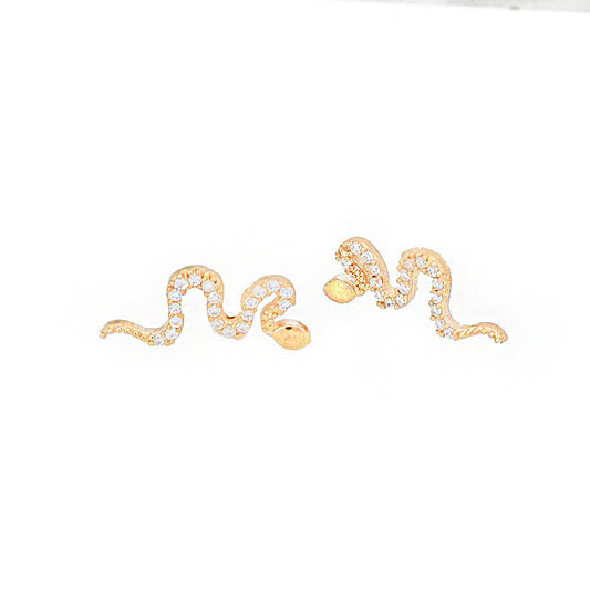 Snake Silver Earring Sb1923