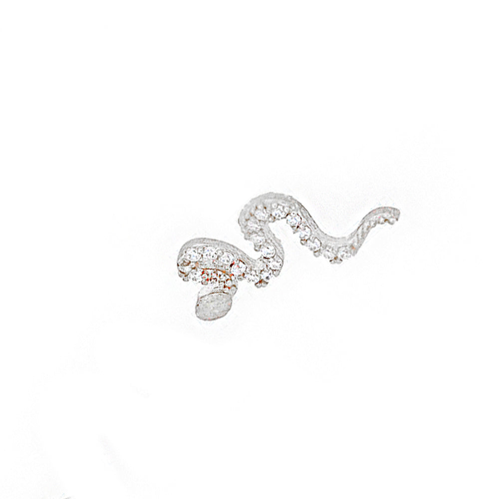 Snake Silver Earring Sb1923