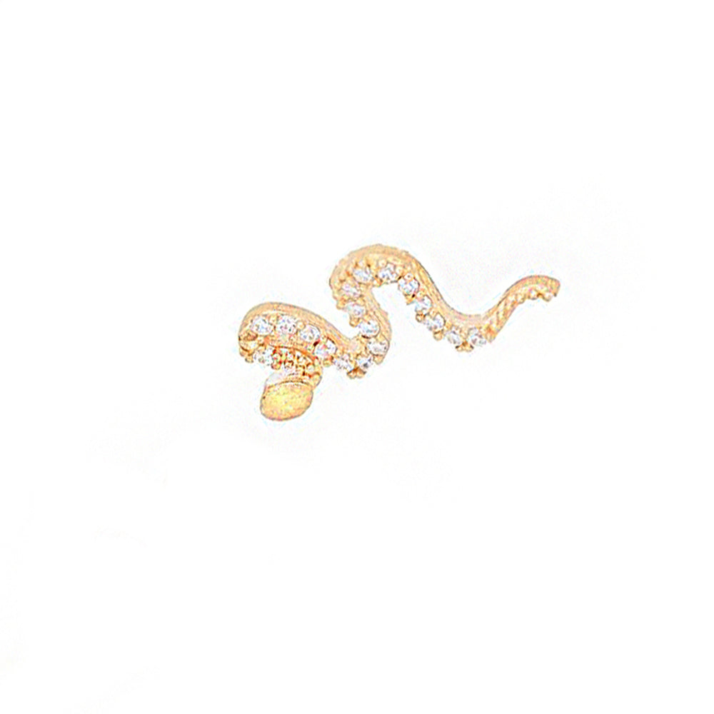 Snake Silver Earring Sb1923