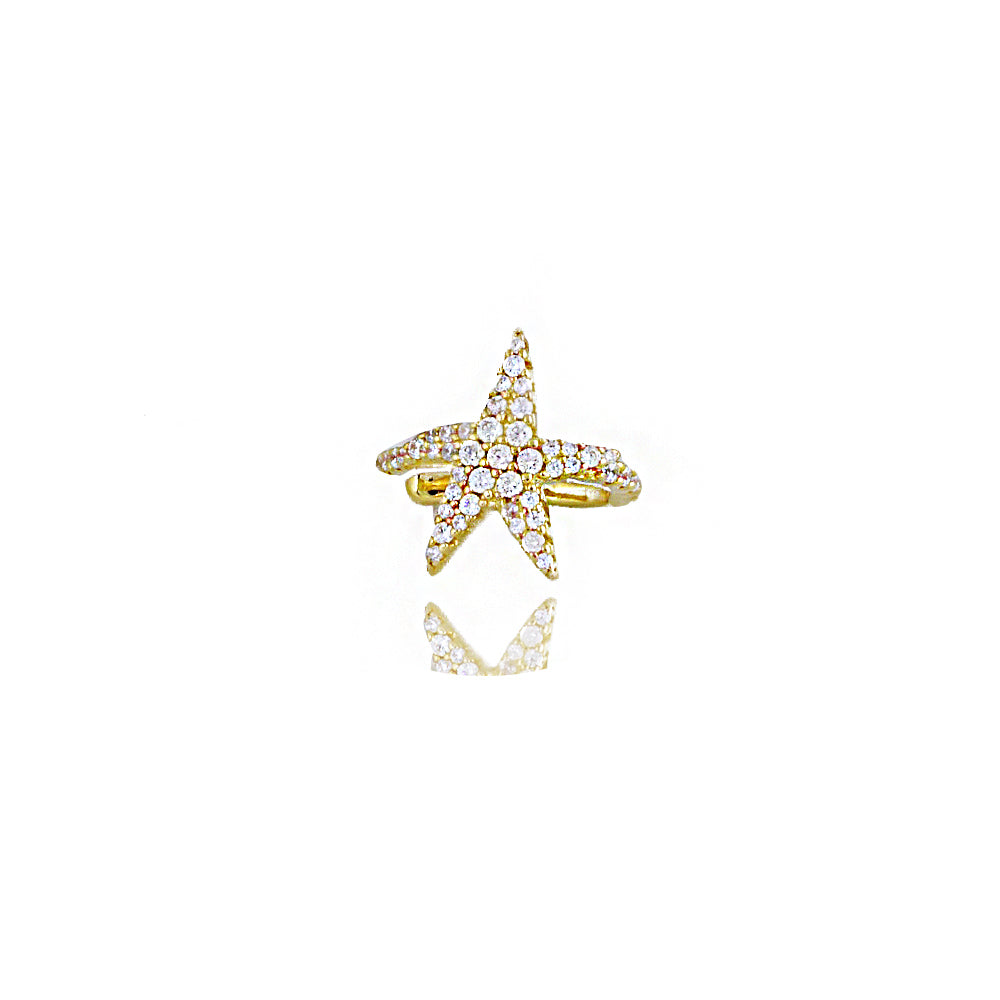 Star Silver Cartilage Sb2098