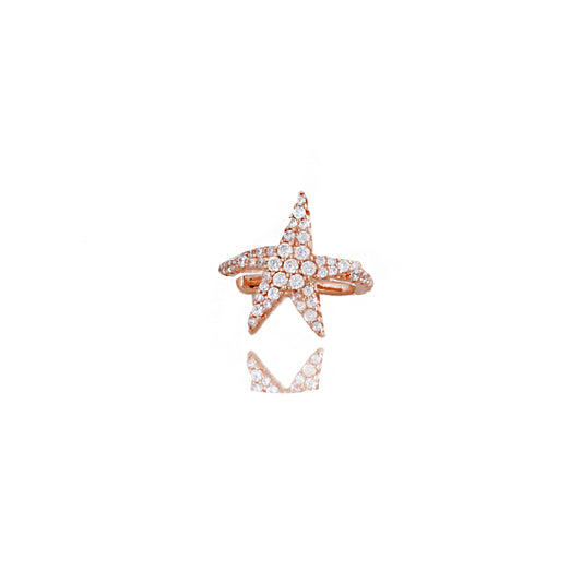 Star Silver Cartilage Sb2098