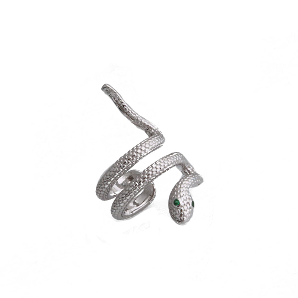 Snake Cartilage Silver Earring Sb2206