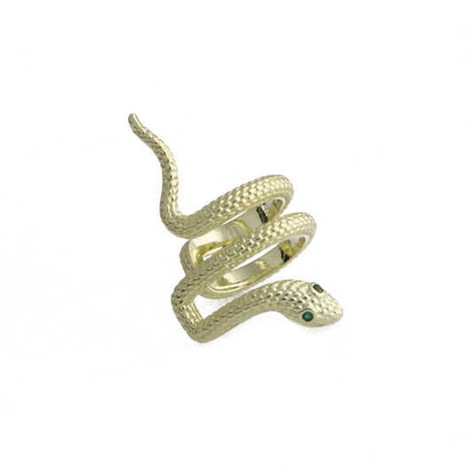 Snake Cartilage Silver Earring Sb2206