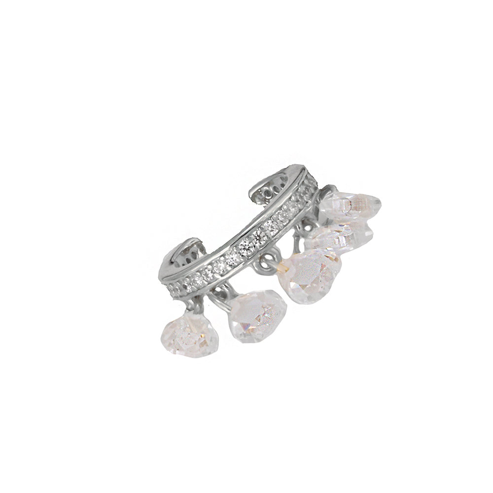 Shakira Silver Earring Ms2355