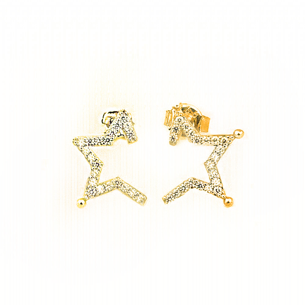 Star Silver Earrings SB944