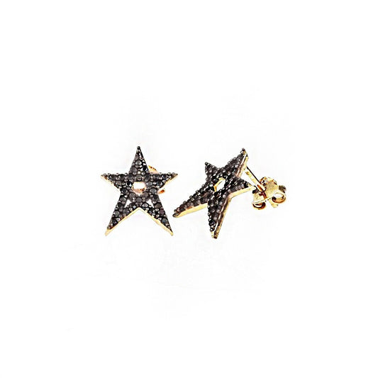 Star Silver Earrings SB989